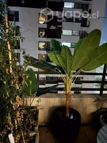Banano artificial con macetero - Imagen 3