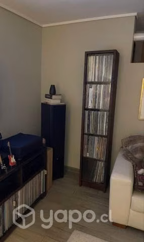 Mueble para vinilos tintado