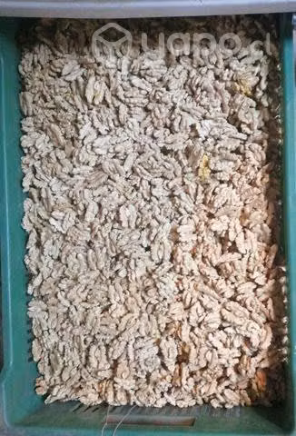 Nueces peladas