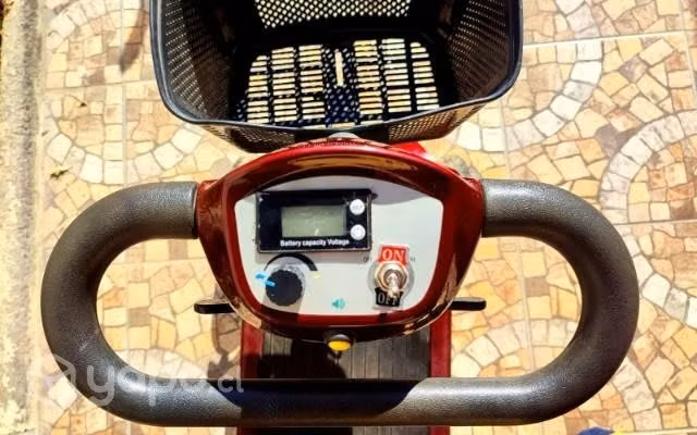 Carrito eléctrico de movilidad