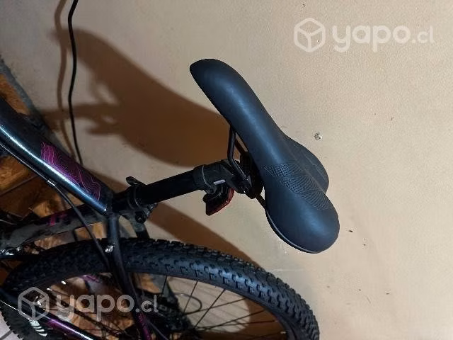Bicicleta Oxford (SOLO Bio-Bio) - Imagen 5