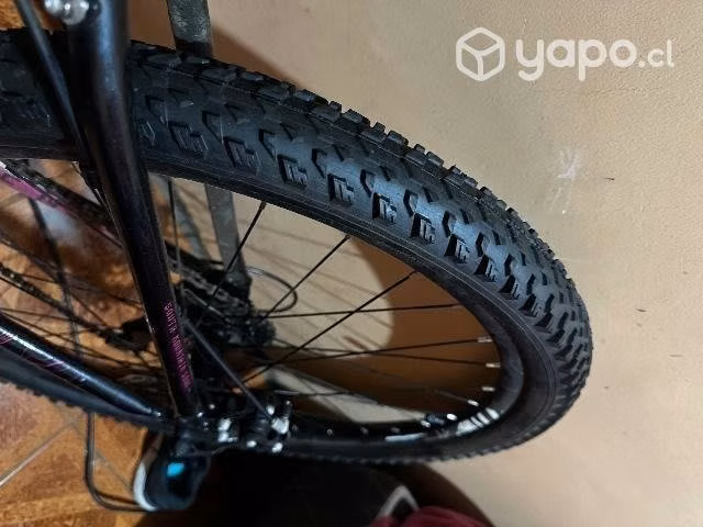 Bicicleta Oxford (SOLO Bio-Bio) - Imagen 4