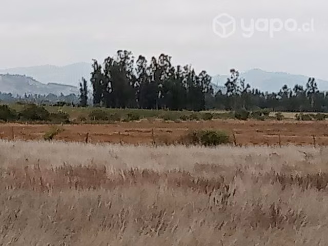 Parcelas Pumanque "Los Aperos de Don Luciano - Imagen 2
