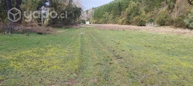 Parcelas de 5000 mt2 Saneadas y Rol prop