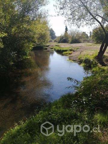 Parcela de grado cerca de Saltos del Laja