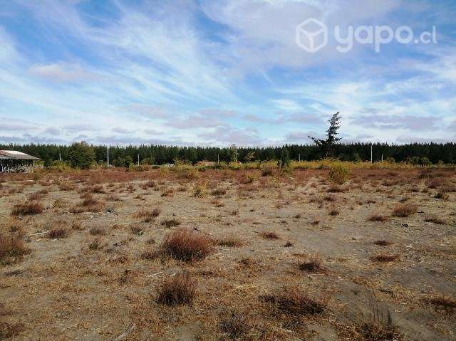 Parcela de grado cerca de Saltos del Laja