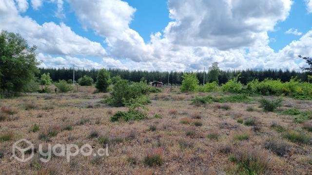 Parcela de grado cerca de Saltos del Laja