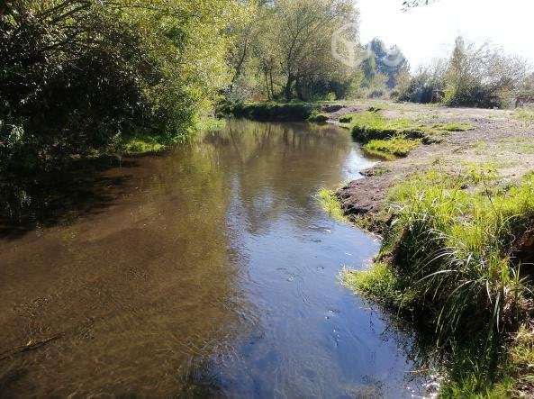 Parcela de grado cerca de Saltos del Laja