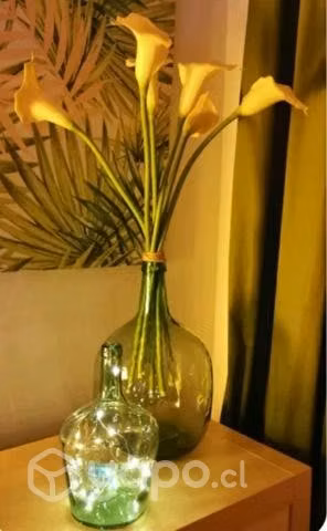 Botellones/garrafa/damajuana/decoración/almacenaje
