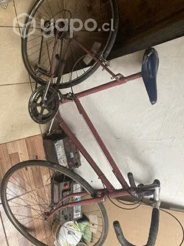 Bicicleta media pista