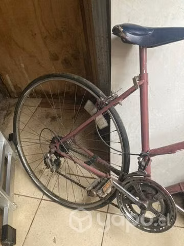Bicicleta media pista