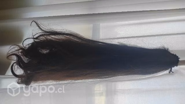 Extensiones y cola