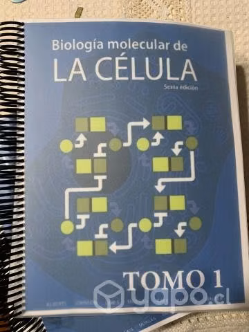 Libros de biología molecular nuevos