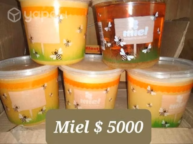 Miel fresca