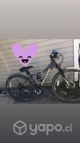 Bicicleta mujer