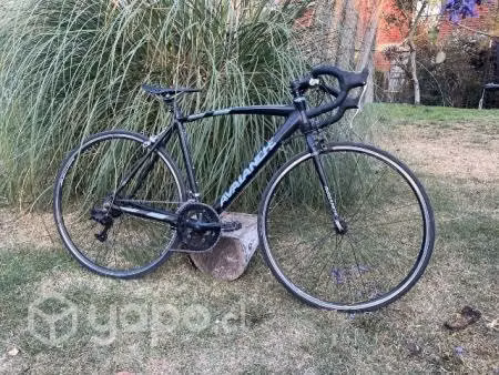 Bici Ruta Avalanche talla 52 (M-L)
