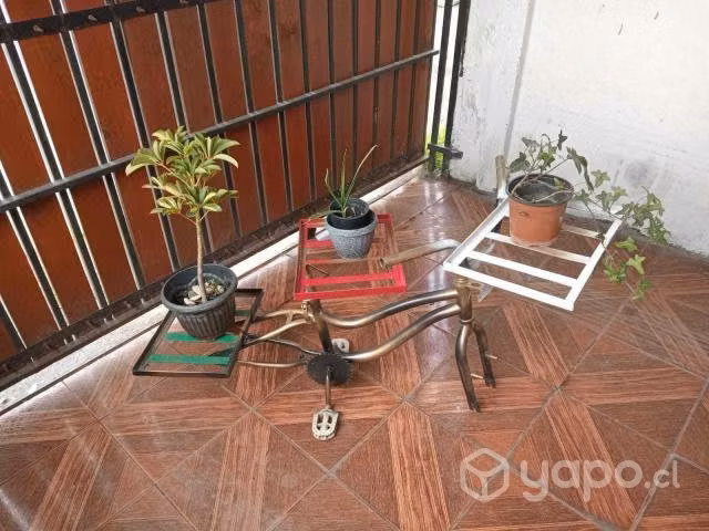 Portaplantas