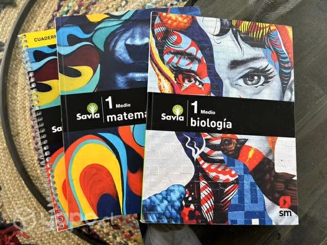 Libros 1 medio