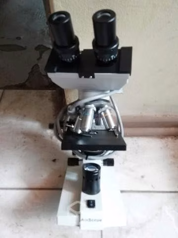Microscopios - Imagen 2