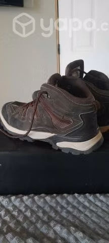 Botin