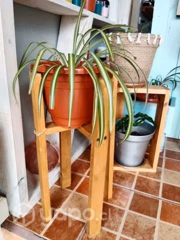 Macetero de madera