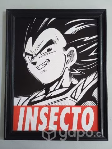 Cuadros de VEGETA
