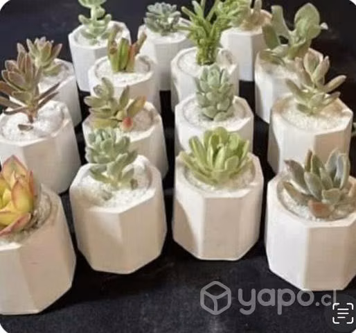 Maceteros de yeso hexagonal - Imagen 4