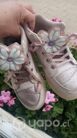 Calzados y bolso