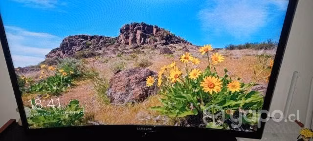 Monitor Curvo Samsung 24" 1920x1080 Gamer LC24F390