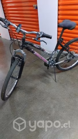 Bicicleta oxford