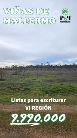 Viñas de Mallermo - Imagen 6