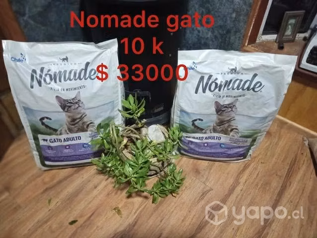 Nomade gatos