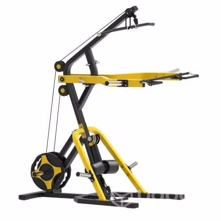 Homo gym