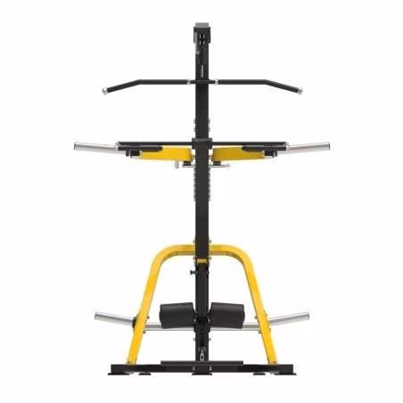 Homo gym