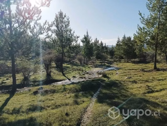 Proyecto explora park