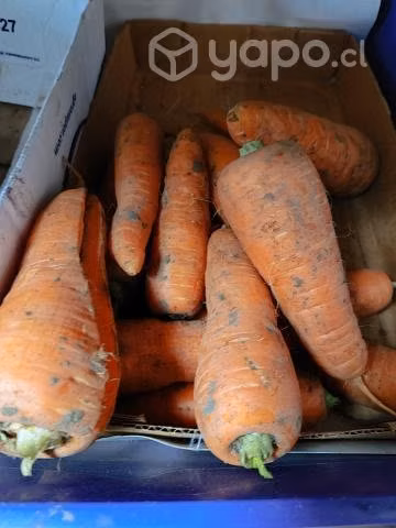 Papas regionales, habas