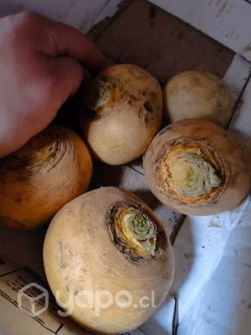 Papas regionales, habas