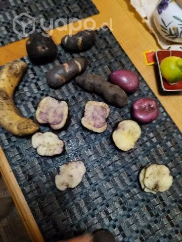 Papas regionales, habas
