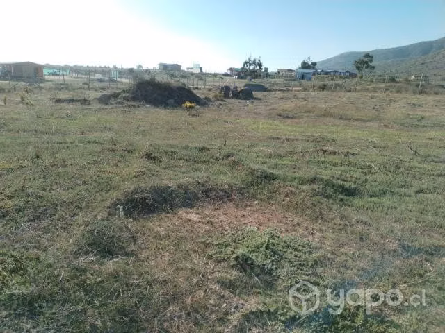 Terreno tongoycillo - Imagen 8