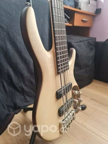 Bajo cort 5 cuerdas