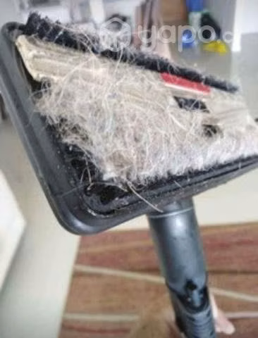 Sanitizadora, aspiradora