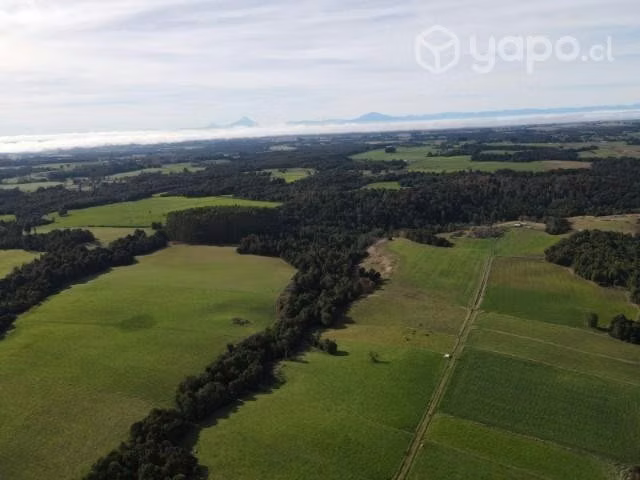 Campo de 8 hectareas