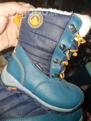 Botin lippi