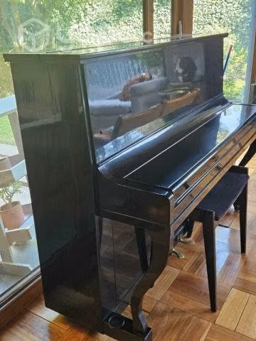 Piano Lester