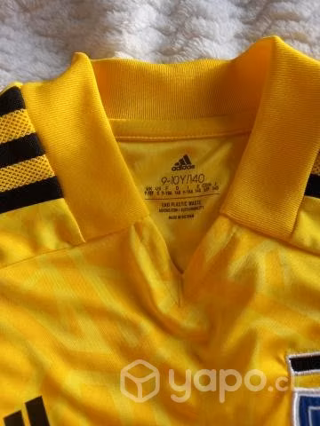 Camiseta arquero colo colo