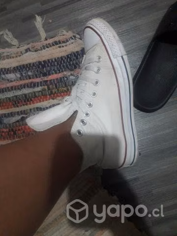 Converse unisex 39.5