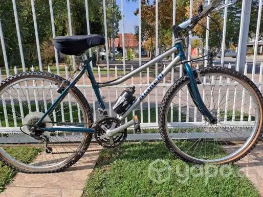 Bicicleta