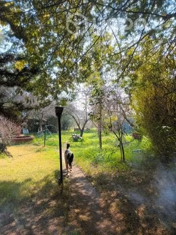 Parcela 5000 m2, 4 casas, talleres, piscina