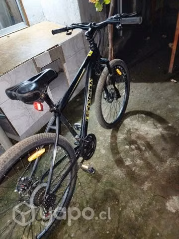 Bicicleta body globe - Imagen 2