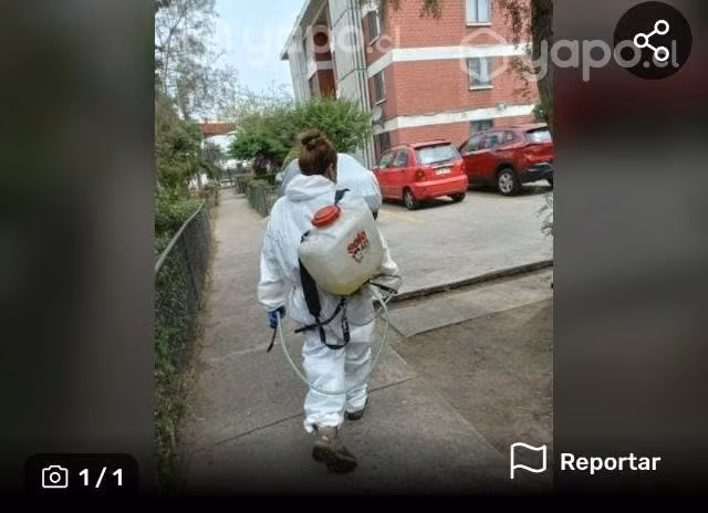 Se realizan fumigaciones
